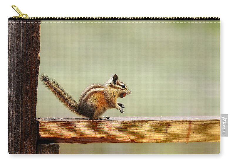 Squirrel Zip Pouch featuring the photograph Off To The Nut House by Donna Blackhall