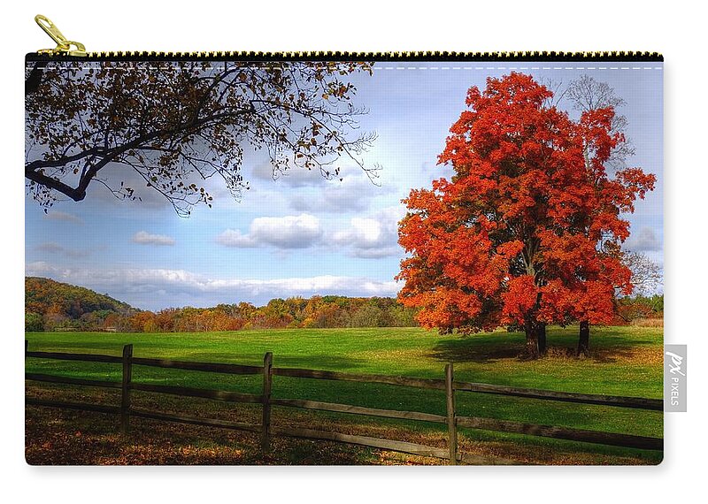 Autumn Zip Pouch featuring the photograph Oh beautiful tree by Ronda Ryan