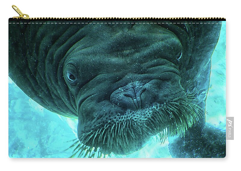 Animal Zip Pouch featuring the photograph Oh hey there by Camille Lopez