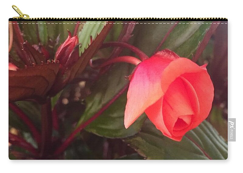 New Guinea Impatient Zip Pouch featuring the photograph Oh My by Barbara Plattenburg
