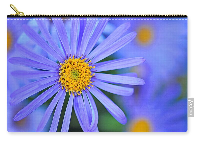 Blue Zip Pouch featuring the photograph Oh So Blue by Angela Maher