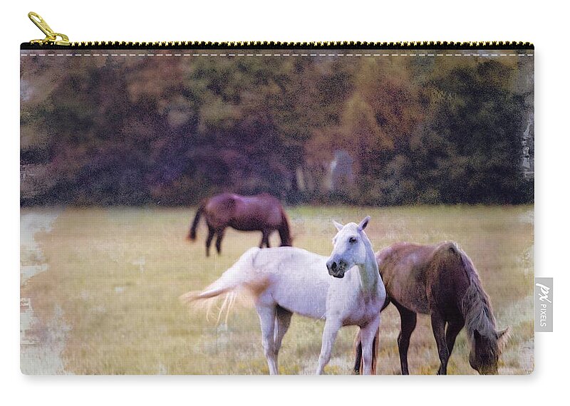 Ok Horse Ranch Zip Pouch featuring the photograph Ok Horse Ranch_1c by Walter Herrit
