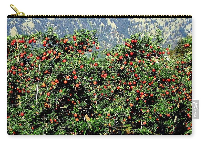 Apples Zip Pouch featuring the photograph Okanagan Valley Apples by Will Borden