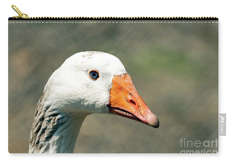 Goose Zip Pouch featuring the photograph Ol Blue Eyes by Sam Rino