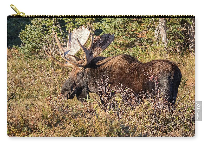 Moose Zip Pouch featuring the photograph Old Bull Moose in the Willows by Tony Hake