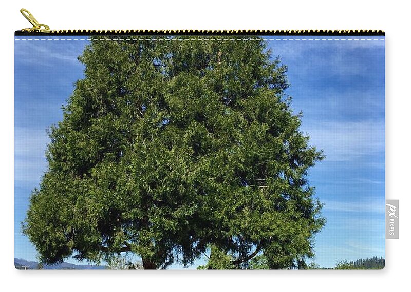  Photography Zip Pouch featuring the photograph Old Friends by Sean Griffin