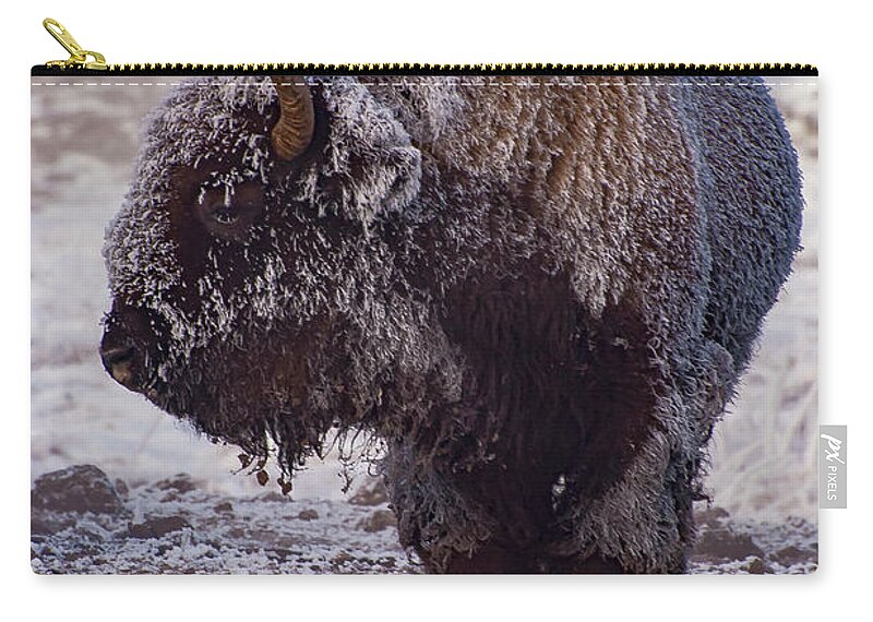 Yellowstone National Park Zip Pouch featuring the photograph Old Frosty by Bob Phillips