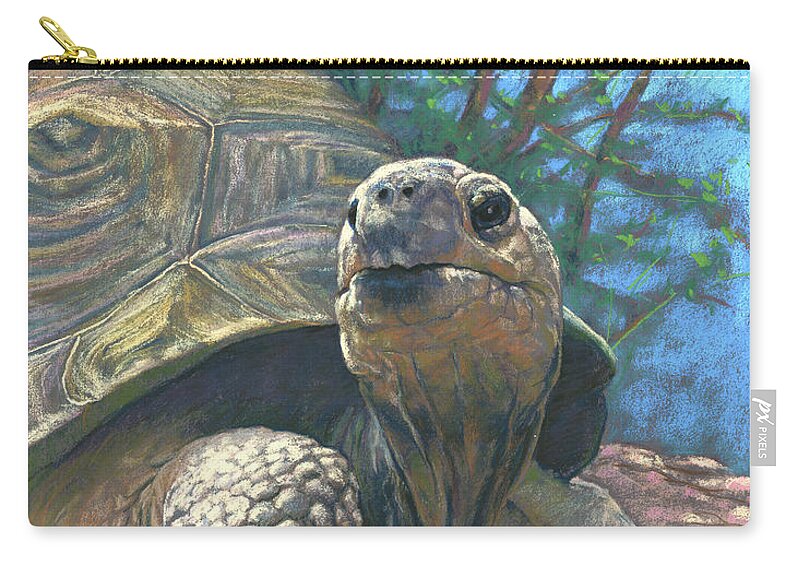 Animals Zip Pouch featuring the pastel Old Man Tortoise by Rita Kirkman
