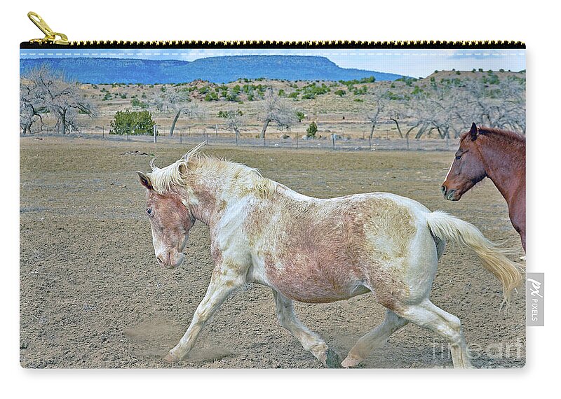 Horse Zip Pouch featuring the photograph Old Mare by Debby Pueschel