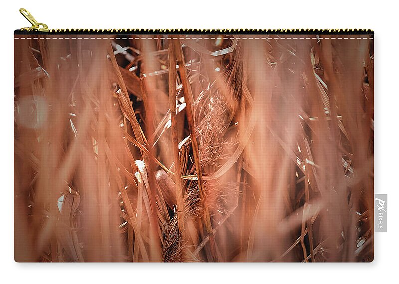 Reed Zip Pouch featuring the photograph Old reed #g3 by Leif Sohlman