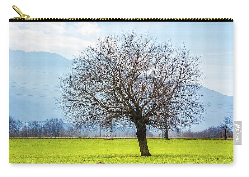 Dubino Carry-all Pouch featuring the photograph Old Tree by Pavel Melnikov