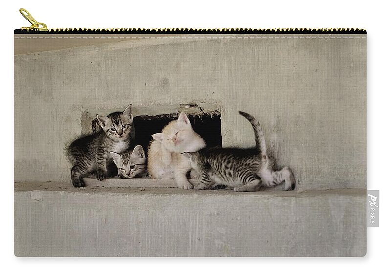 #沖縄 #okinawa #japan #cools_japan #japan_of_insta #syuri #cat #kittens #animal #猫 #family #可愛い #kawaii #kitte #オールドレンズ #travel_captures #naha #street #pentax #carlzeiss #oldlens Zip Pouch featuring the photograph Old vacant house kittens by Kuro Kuro