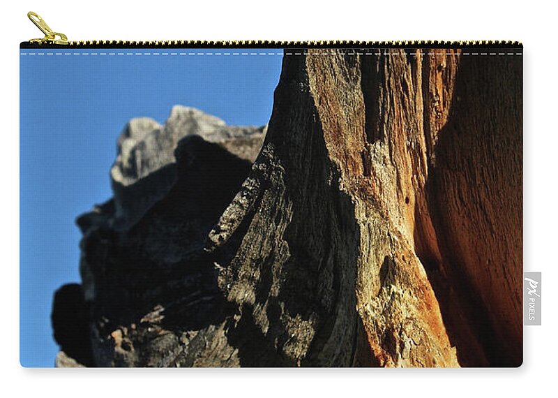 Tree Stump Zip Pouch featuring the photograph Old Wood by Ann E Robson