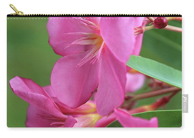 Oleander Zip Pouch featuring the photograph Oleander Maresciallo Graziani 2 by Wilhelm Hufnagl
