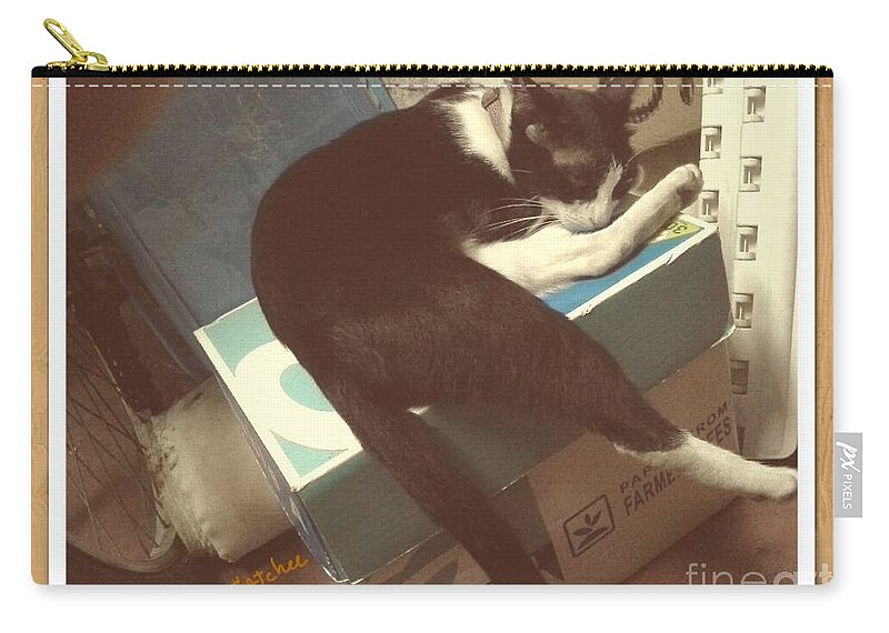 Box Zip Pouch featuring the photograph On A Box by Sukalya Chearanantana