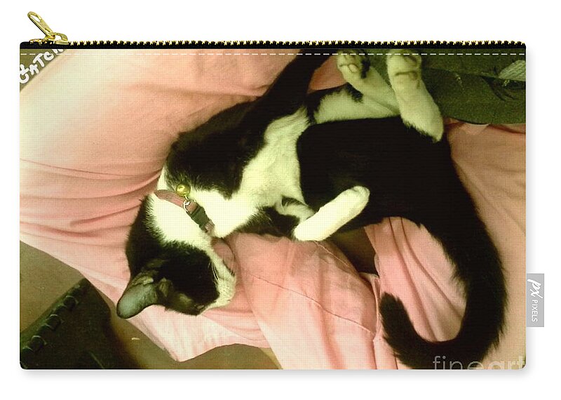 Cat Zip Pouch featuring the photograph On A Lap by Sukalya Chearanantana