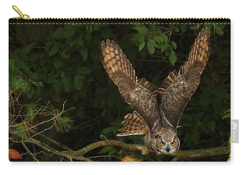 Great Horned Owl Zip Pouch featuring the photograph On My Radar by Heather King