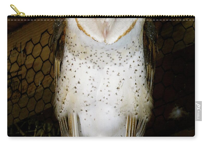 Owl Carry-all Pouch featuring the photograph On one leg by Azthet Photography