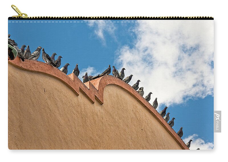Pigeons Zip Pouch featuring the photograph On The Curve by Christopher Holmes