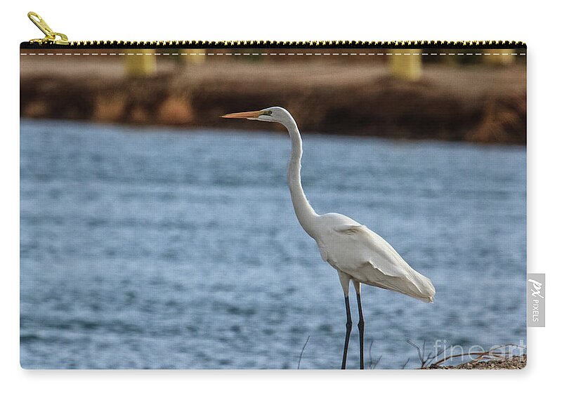 Arizona Zip Pouch featuring the photograph On The Hunt by Robert Bales