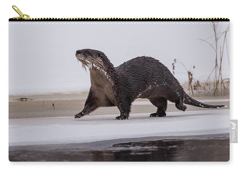 Otter Zip Pouch featuring the photograph On the Move by Jody Partin
