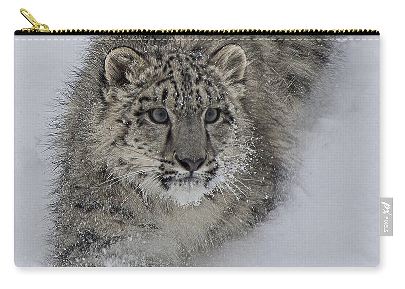 Animal Zip Pouch featuring the photograph On the Move by Teresa Wilson
