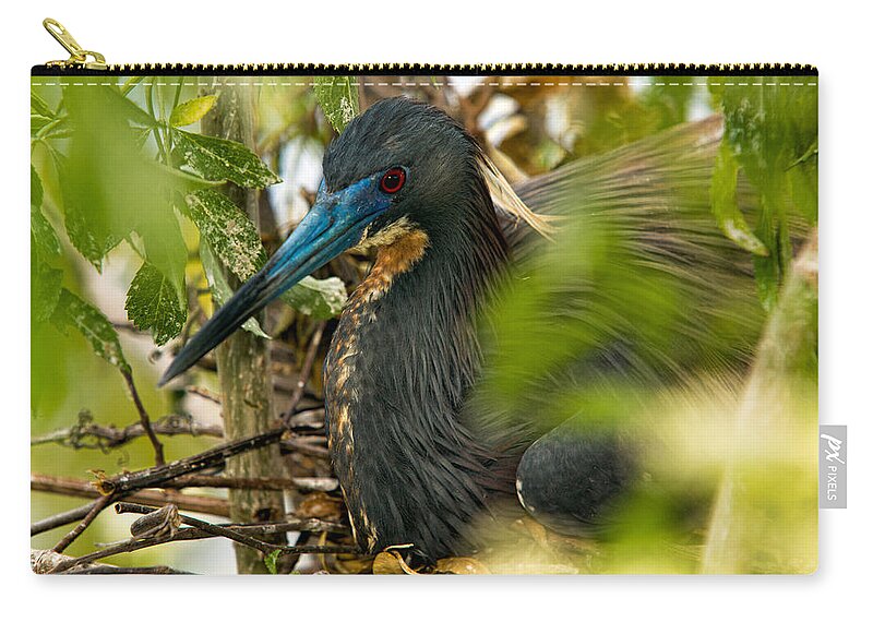Tri-color Heron Zip Pouch featuring the photograph On The Nest by Christopher Holmes