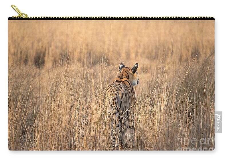 Tiger Zip Pouch featuring the photograph On the Prowl by Pravine Chester