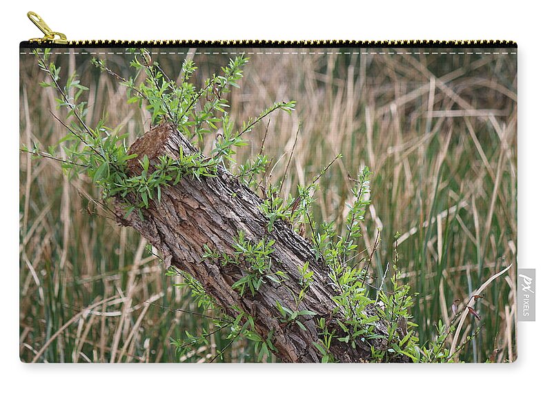 Log Zip Pouch featuring the photograph Once Upon a Log by Christy Pooschke