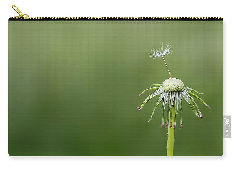 Abstract Zip Pouch featuring the photograph One dandy by Bess Hamiti