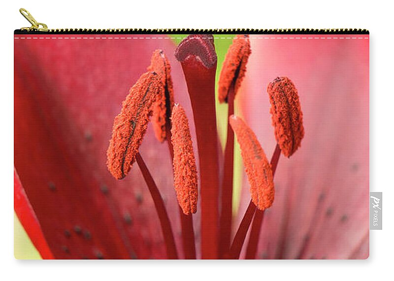 Red Zip Pouch featuring the photograph One flower wish for prosperity. by Elena Perelman