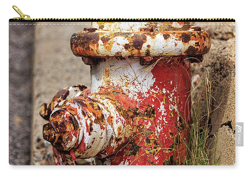 Fire Hydrant Zip Pouch featuring the photograph One Hydrant - Too Many Dogs by James Eddy