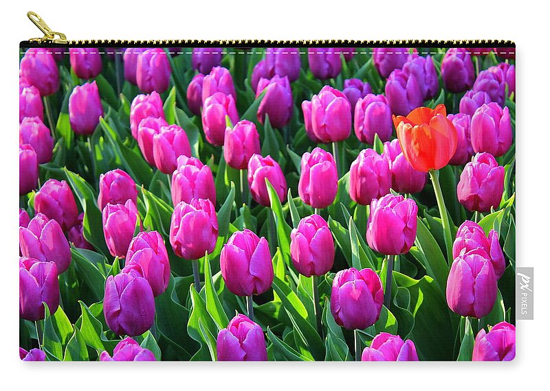 Flower Zip Pouch featuring the photograph One In A Bunch by Deborah Crew-Johnson