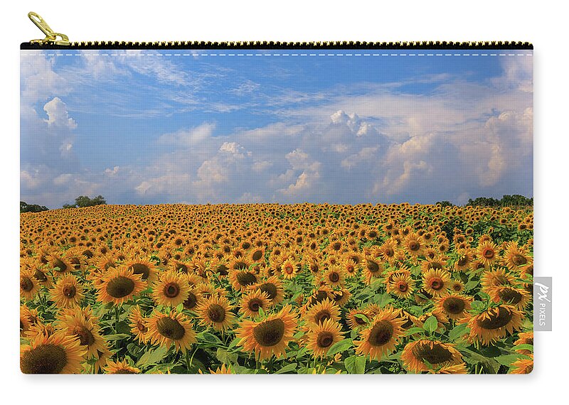 Personality Zip Pouch featuring the photograph One in a Million by Rob Davies