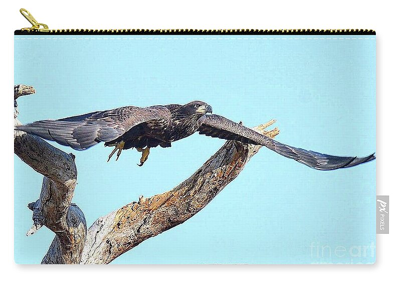Bald Eagle Zip Pouch featuring the photograph One last fly E9 by Liz Grindstaff