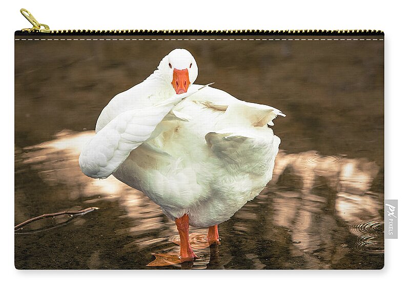 Photograph Zip Pouch featuring the photograph One Million Dollars by Jason Hughes