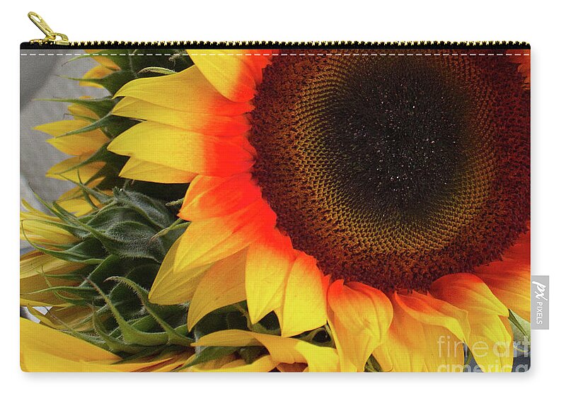 Flowers Zip Pouch featuring the photograph One of Nature's Vibrant Beauty by Rene Triay FineArt Photos