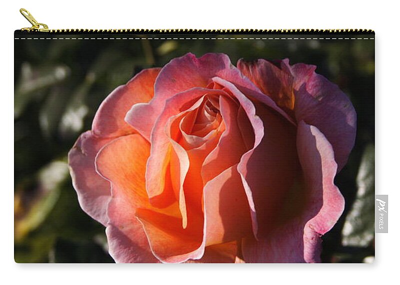 2008 Zip Pouch featuring the photograph One Pink Bud by B Rossitto