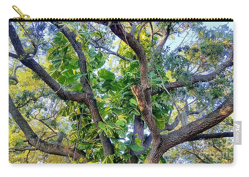 Tree Zip Pouch featuring the photograph Oneness Discovery by Rachel Hannah