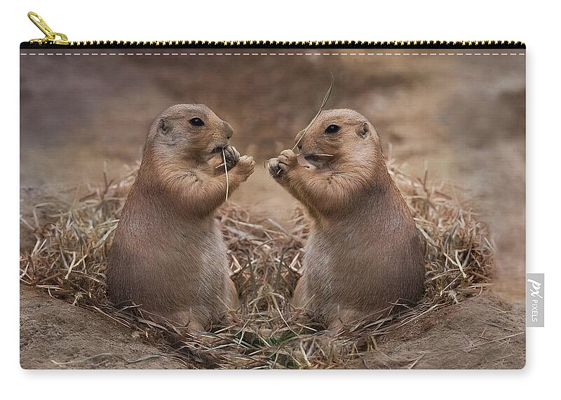 Prairie Dogs Zip Pouch featuring the photograph Only Hearts II by Robin-Lee Vieira