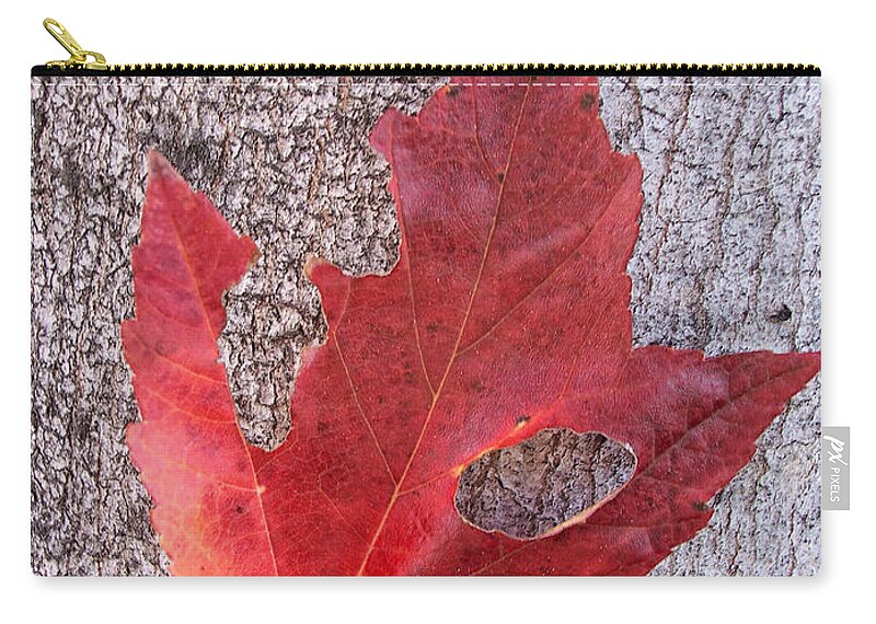 Maple Leaf Zip Pouch featuring the photograph Only One Leaf To Live by Donna Blackhall