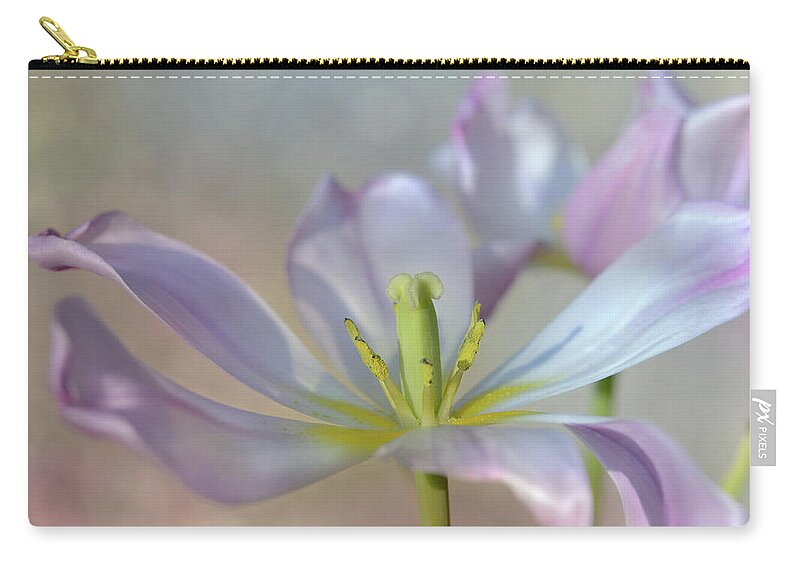 Beautiful Zip Pouch featuring the photograph Open Tulip by Ann Bridges