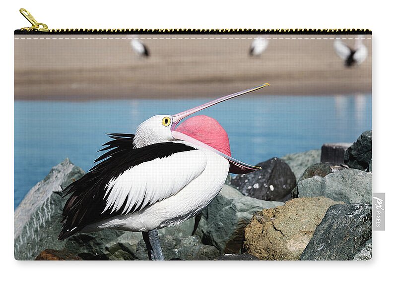 Pelicans Carry-all Pouch featuring the digital art Open wide 61063 by Kevin Chippindall