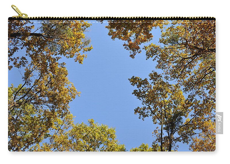 Oaks Zip Pouch featuring the photograph Opening by Georgeta Blanaru