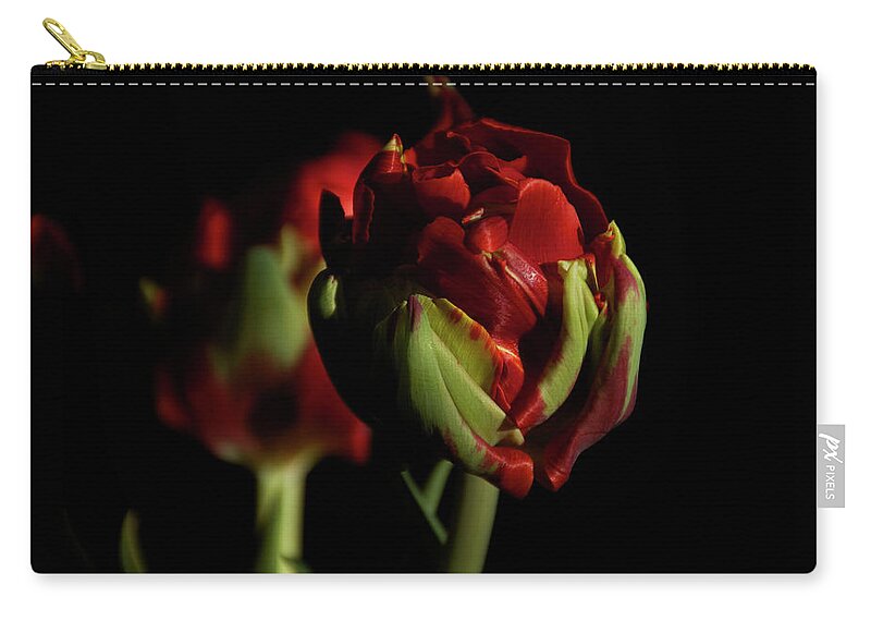 Flowers Zip Pouch featuring the photograph Opening Slowly by Ellery Russell