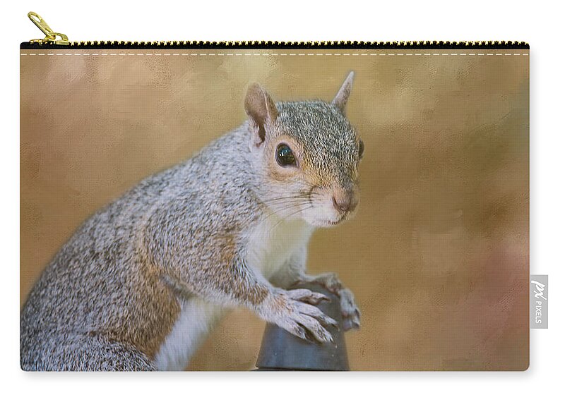 Squirrel Zip Pouch featuring the photograph Opening The Feeder by Cathy Kovarik