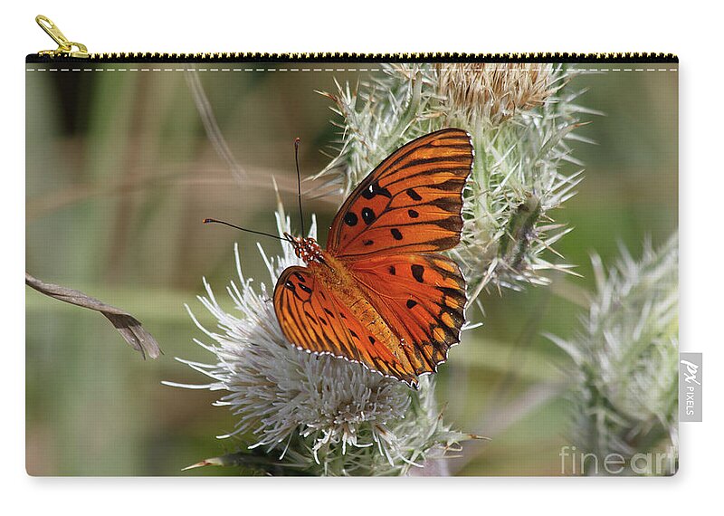Butterfly Zip Pouch featuring the photograph Orange Butterfly by Les Greenwood