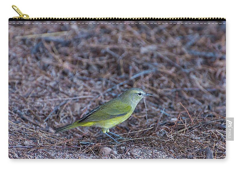 Orange Zip Pouch featuring the photograph Orange-crowned Warbler by Douglas Killourie