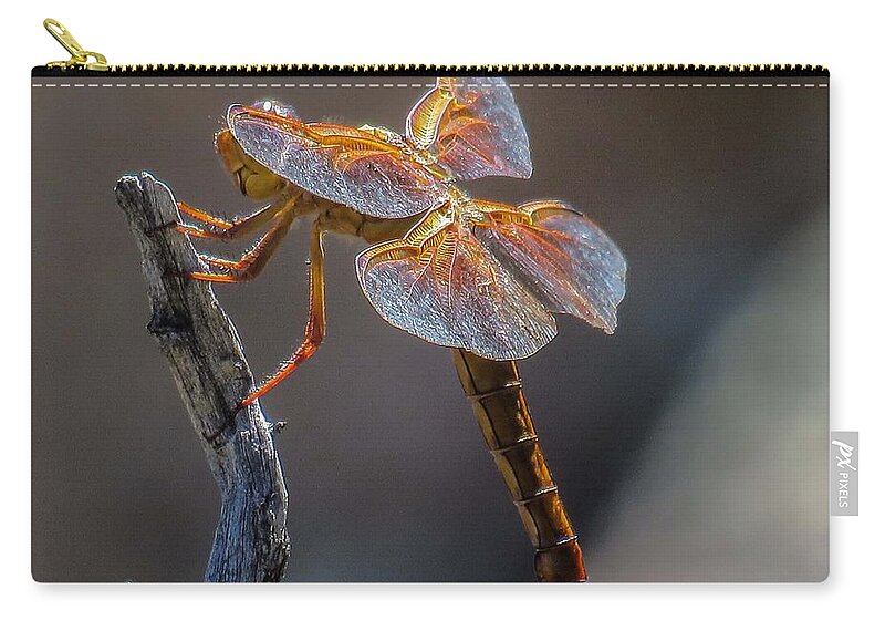Nature Zip Pouch featuring the photograph Dragonfly 2 by Christy Garavetto