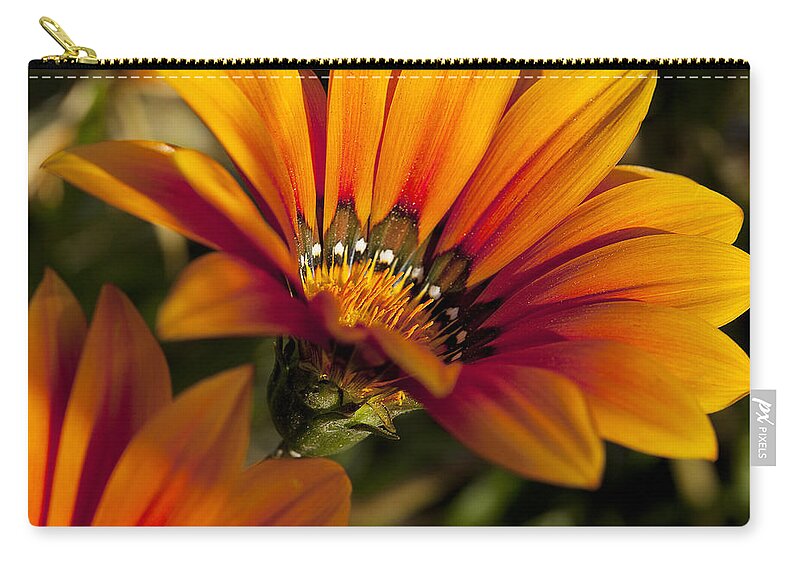 Flowers Zip Pouch featuring the photograph Orange Flower Print by Kelley King